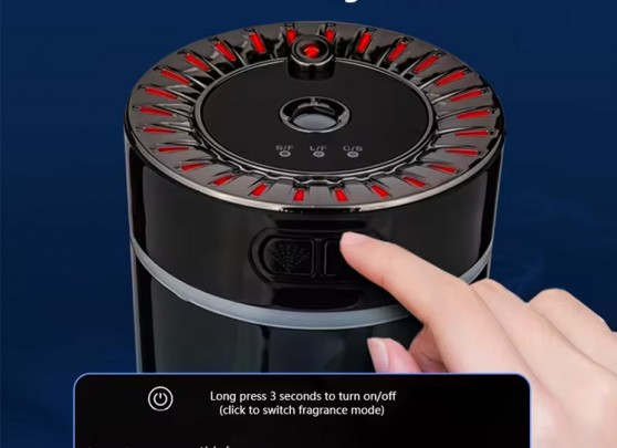 867004287_1716642071_13.jpg