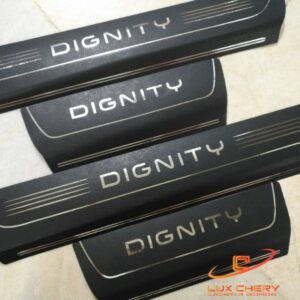 پارکابی طرح چرم دیگنیتی