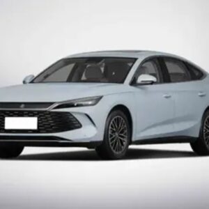 BYD QIN L